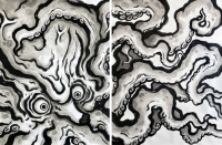 http://steambiz.com/files/gimgs/th-35_Deep currents_200x300 cm_china ink on paper_v2.jpg